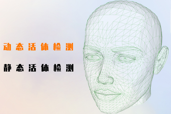 动态活体检测,静态活体检测