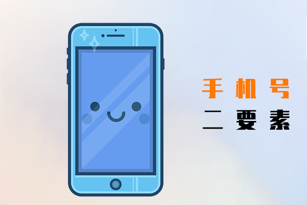手机号二要素