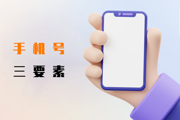 手机号三要素