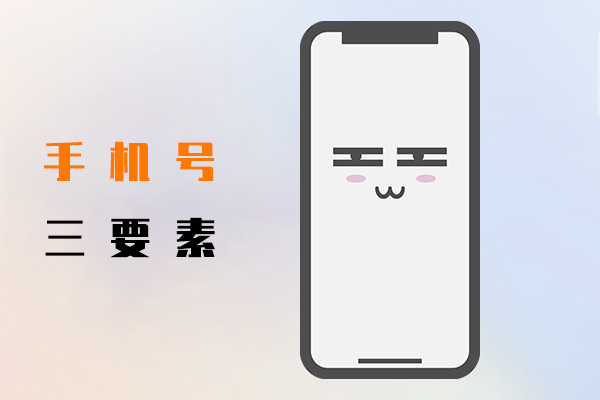 手机号三要素