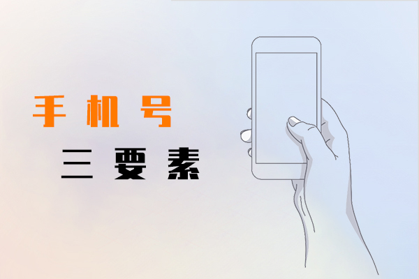 手机号三要素