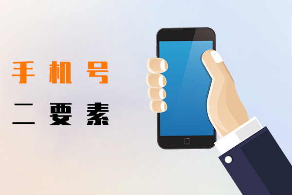 手机号二要素
