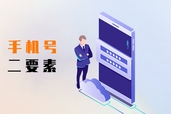 手机号二要素