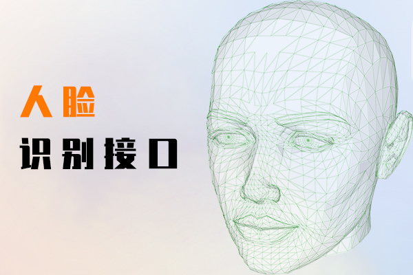 人脸识别接口
