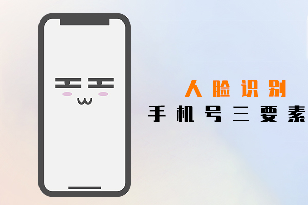 手机号三要素,人脸识别接口