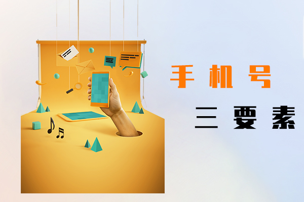 手机号三要素