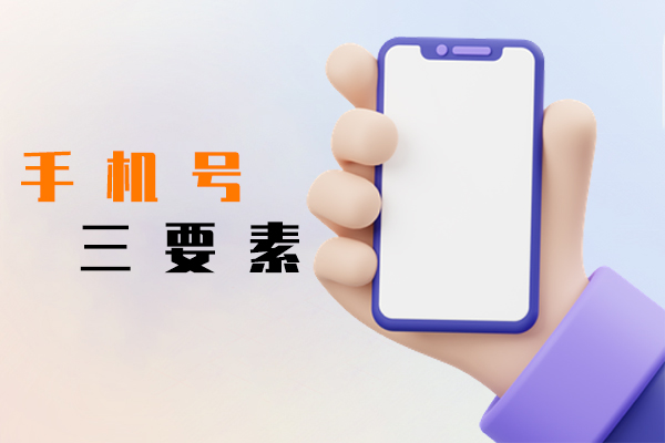 手机号三要素