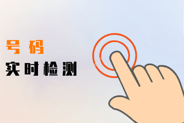 号码实时检测