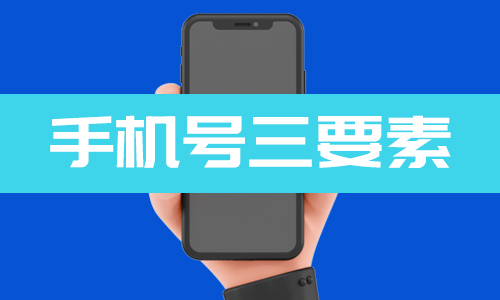 手机号三要素