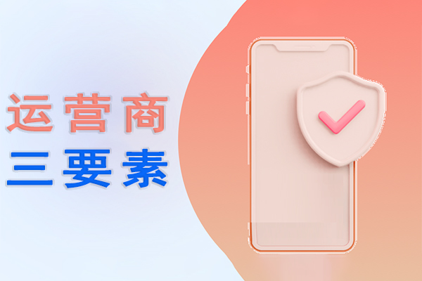 手机号三要素