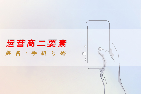 手机号二要素