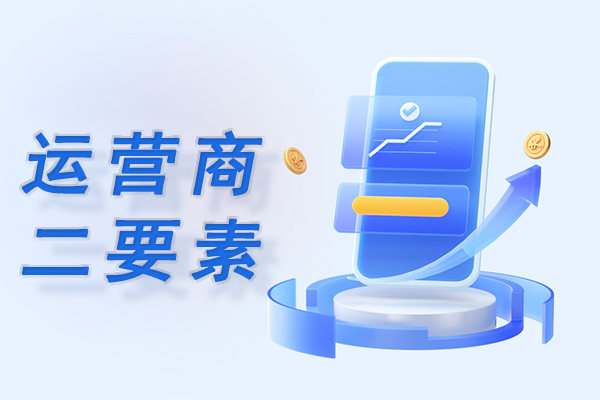 手机号二要素