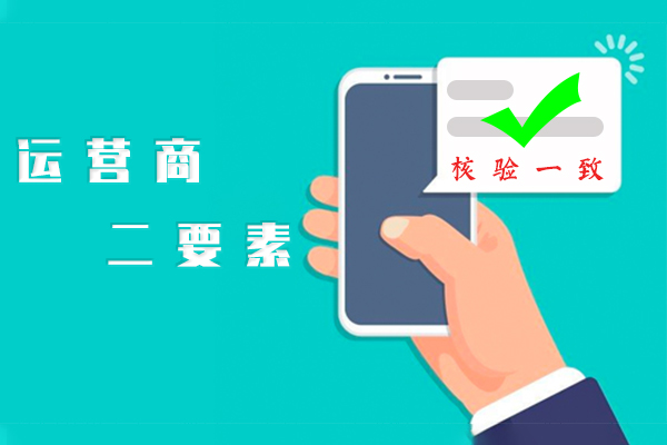 手机号二要素