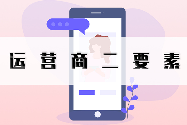 手机号二要素