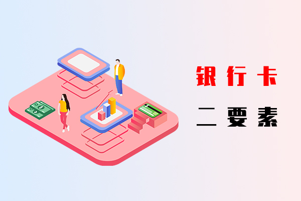 银行卡二要素