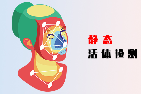静态活体检测