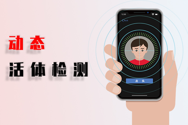 动态活体检测