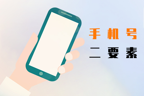 手机号二要素