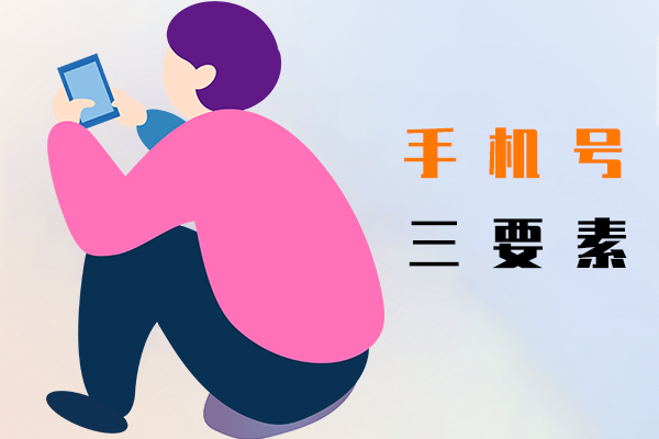 手机号三要素